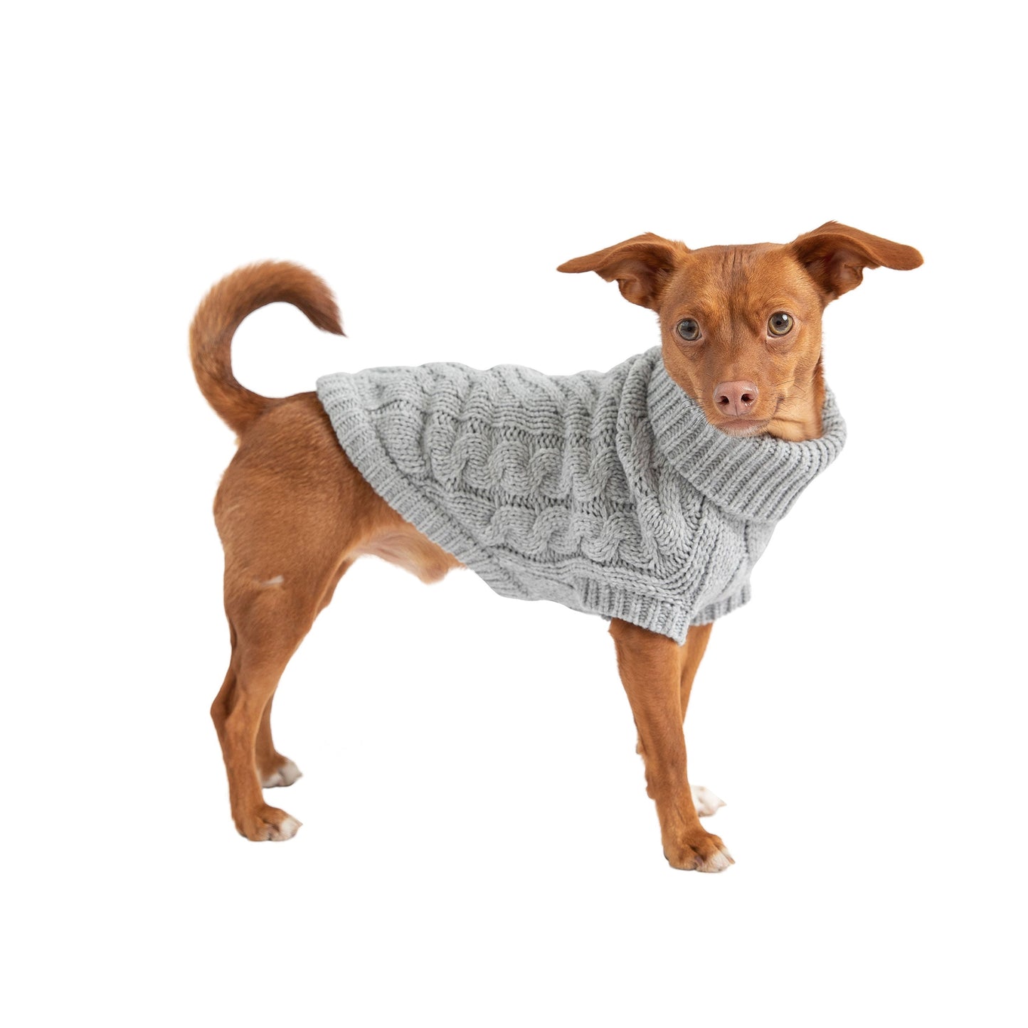 Chunky Dog Sweater